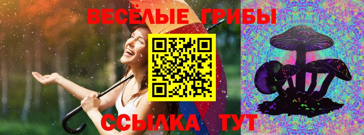 Мценск  цена наркотик  Вход с VPN  Галлюциногенные грибы ЛСД 